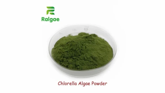 Aditivo de algas naturales de grado alimentario en polvo de Chlorella