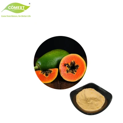 Comext suministra una muestra gratuita de enzima natural de extracto de papaya en polvo de papaína