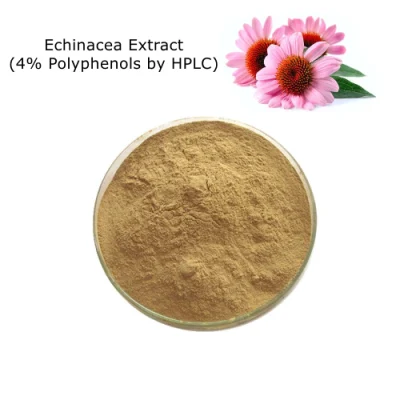Extracto de Equinácea 100% Natural (4% Polifenoles por HPLC) como Aditivos Alimentarios