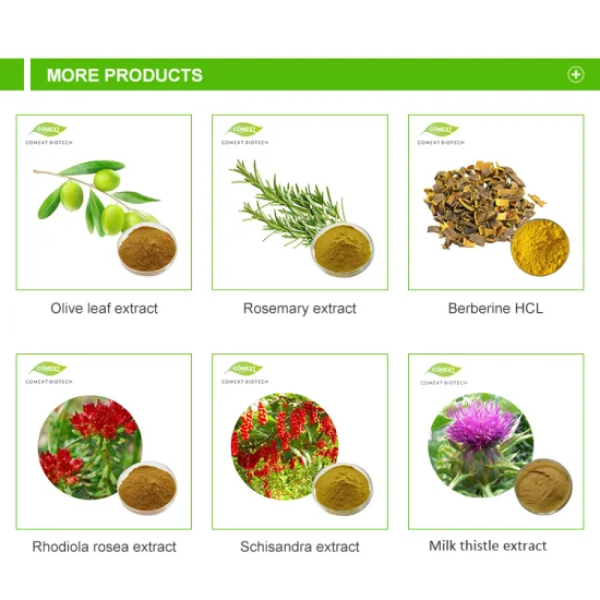 Comext China Precio de fábrica Muestra gratis EE. UU. Stock Herbal Olea Europaea 98% Ácido oleanólico 10% 20% Hidroxitirosol 40% Oleuropeína Planta en polvo Extracto de hoja de olivo