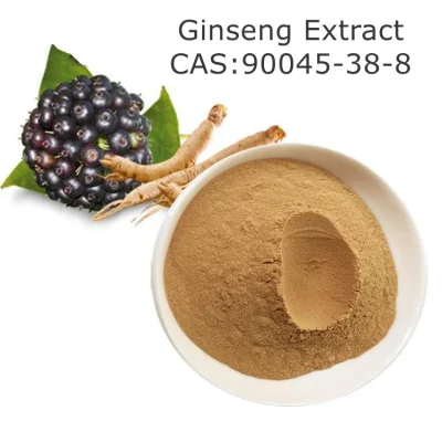 Polvo natural CAS 90045 del extracto de raíz del ginseng de Panax de la atención sanitaria del 100%